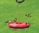 HighPerchHummingbirdFeeder