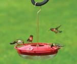 HighPerchHummingbirdFeeder